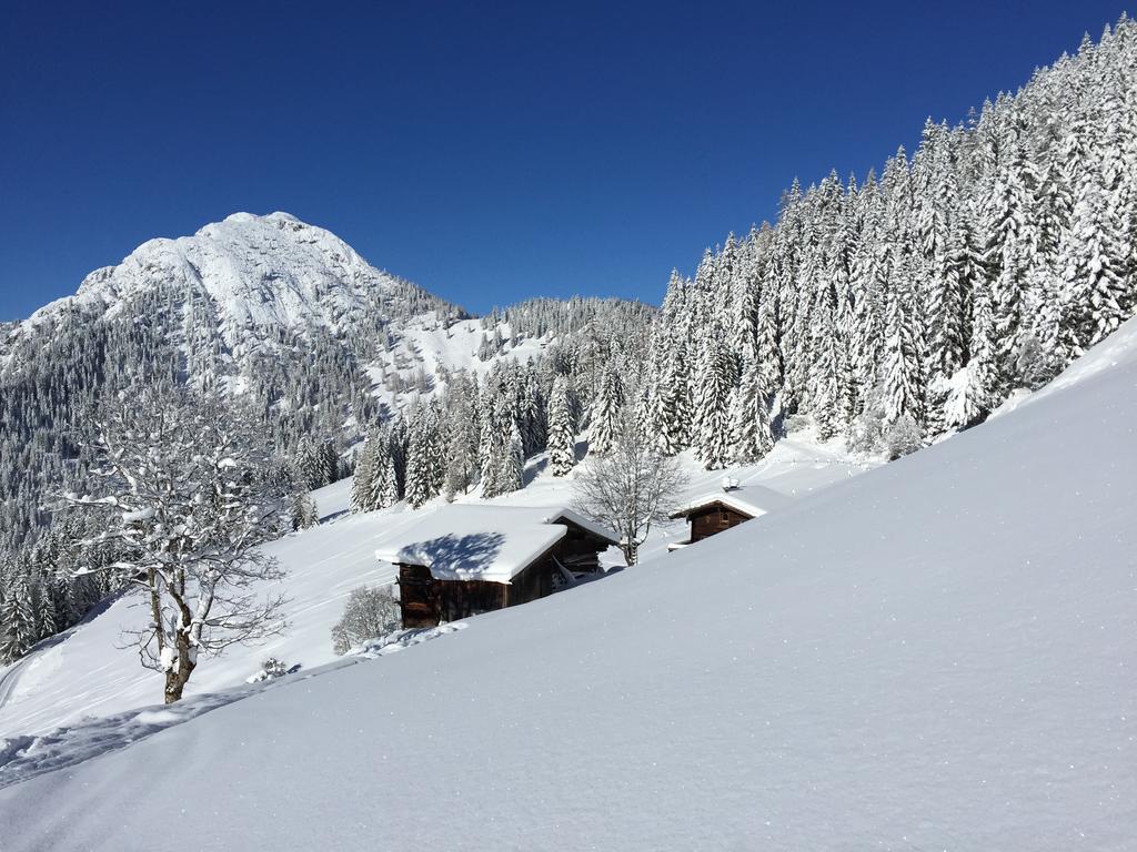 Appartement Aparthaus Juwel