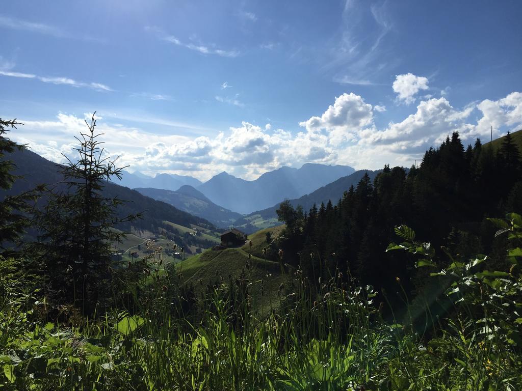 Juwel Apartment Alpbach