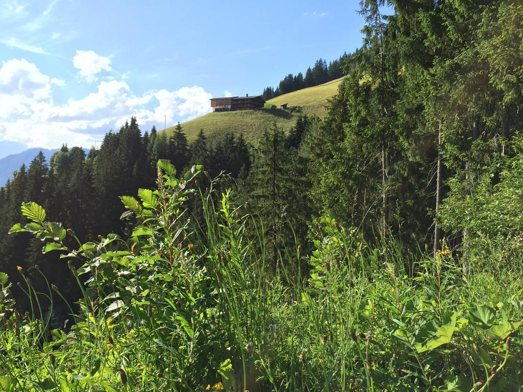 Apartment Juwel Alpbach